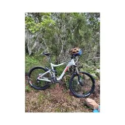 VTT Tout Suspendus Giant - L - 26''