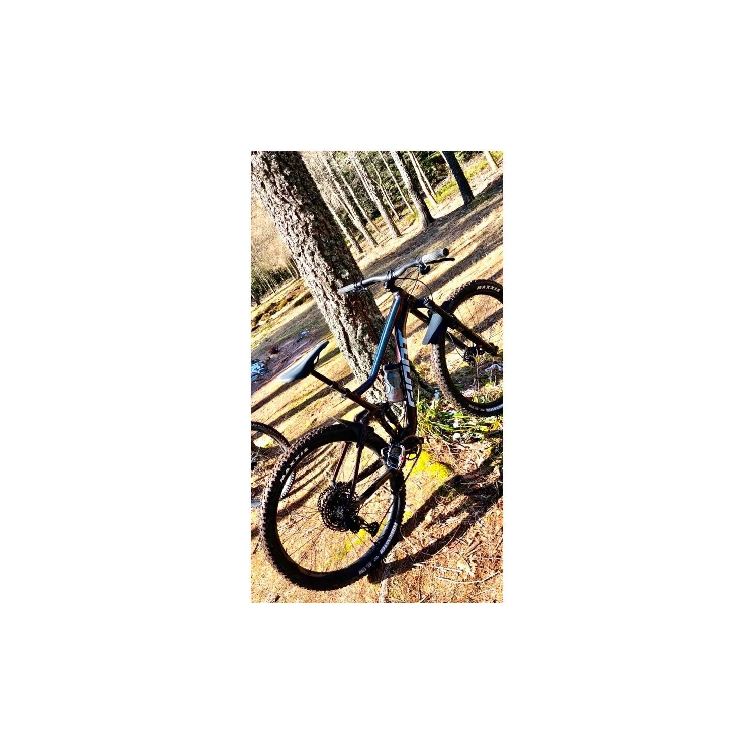 VTT Tout Suspendus Giant - M - 29'' – Image 2