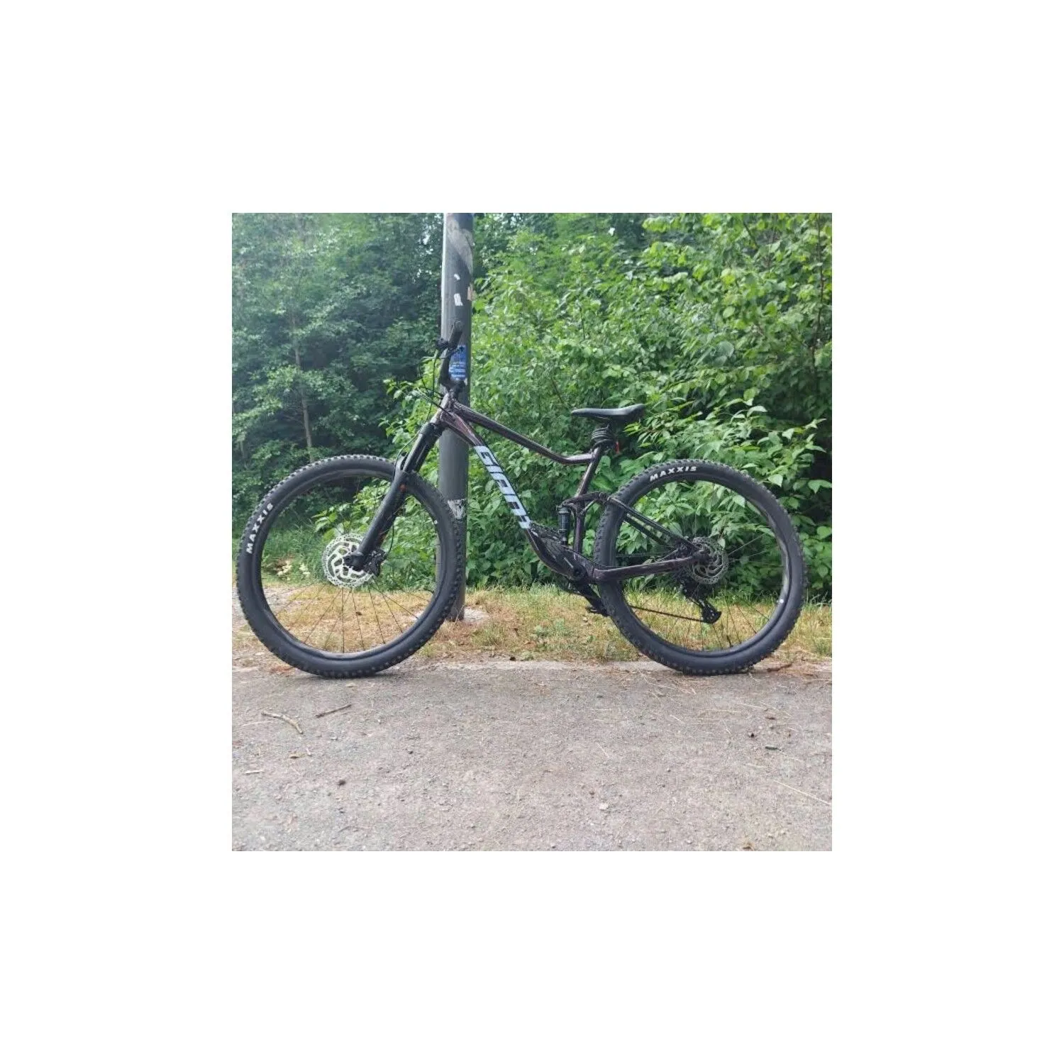 VTT Tout Suspendus Giant - M - 29''