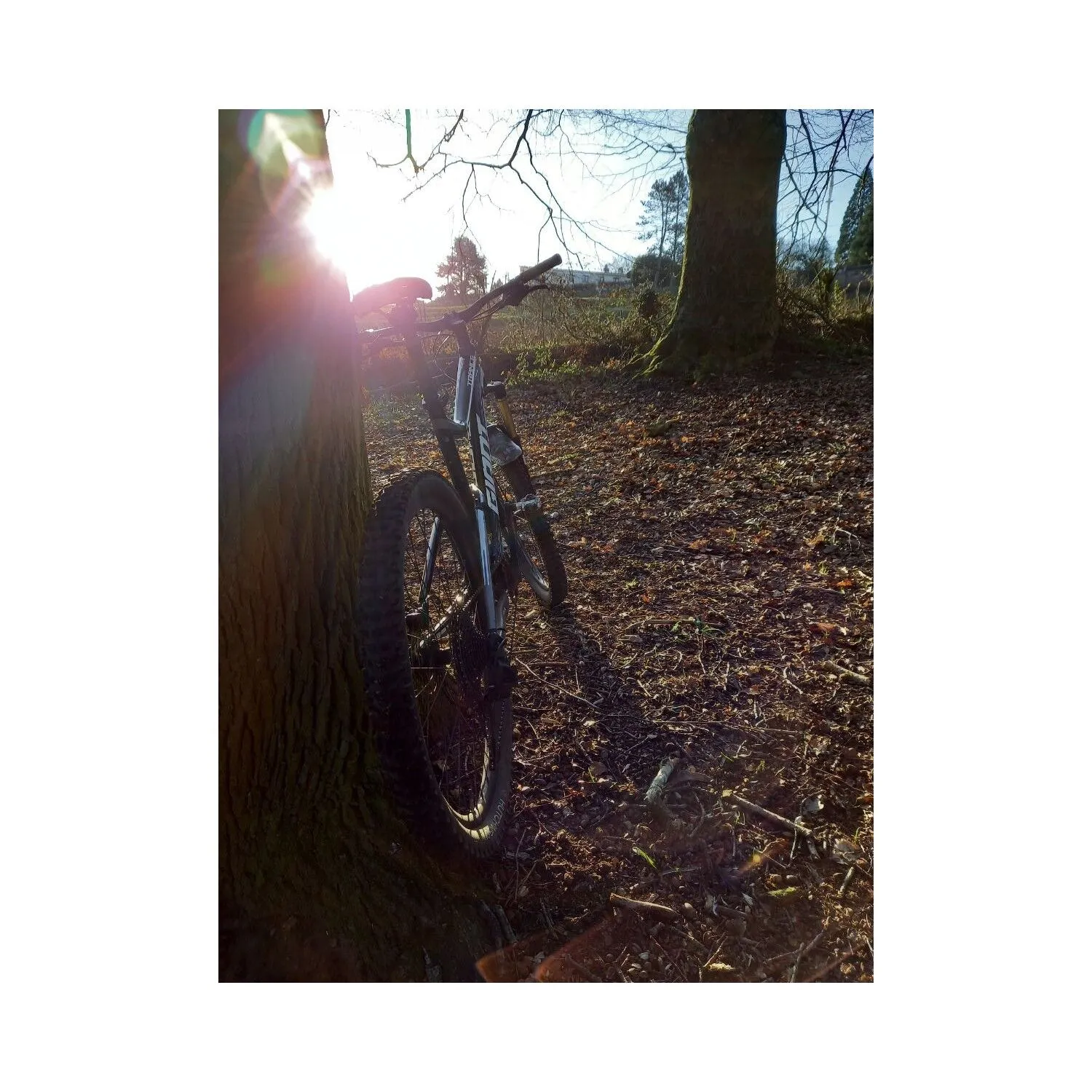 VTT Tout Suspendus Giant - L - 27.5'' – Image 2