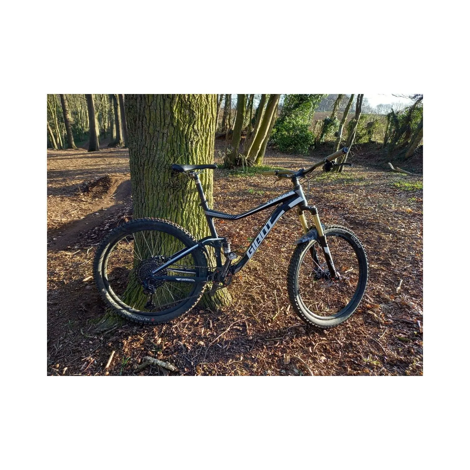 VTT Tout Suspendus Giant - L - 27.5'' – Image 3