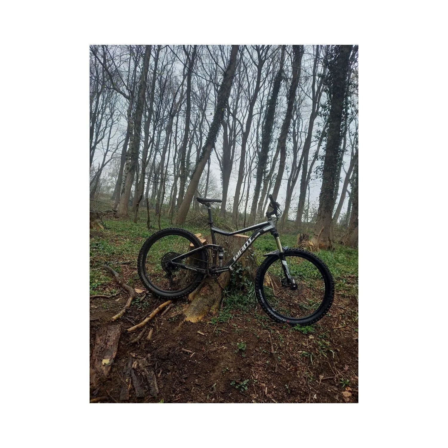 VTT Tout Suspendus Giant - L - 27.5'' – Image 5
