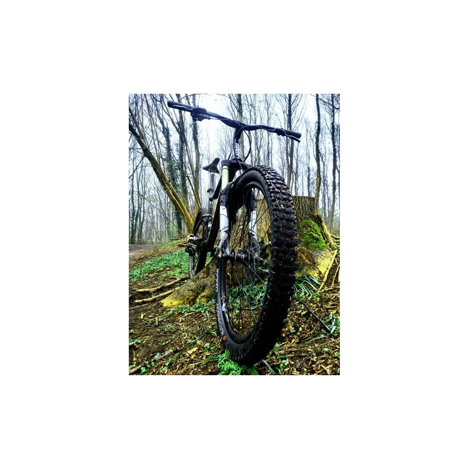 VTT Tout Suspendus Giant - L - 27.5'' – Image 6