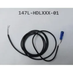 GIANT Filage Pour Lumière E-bike