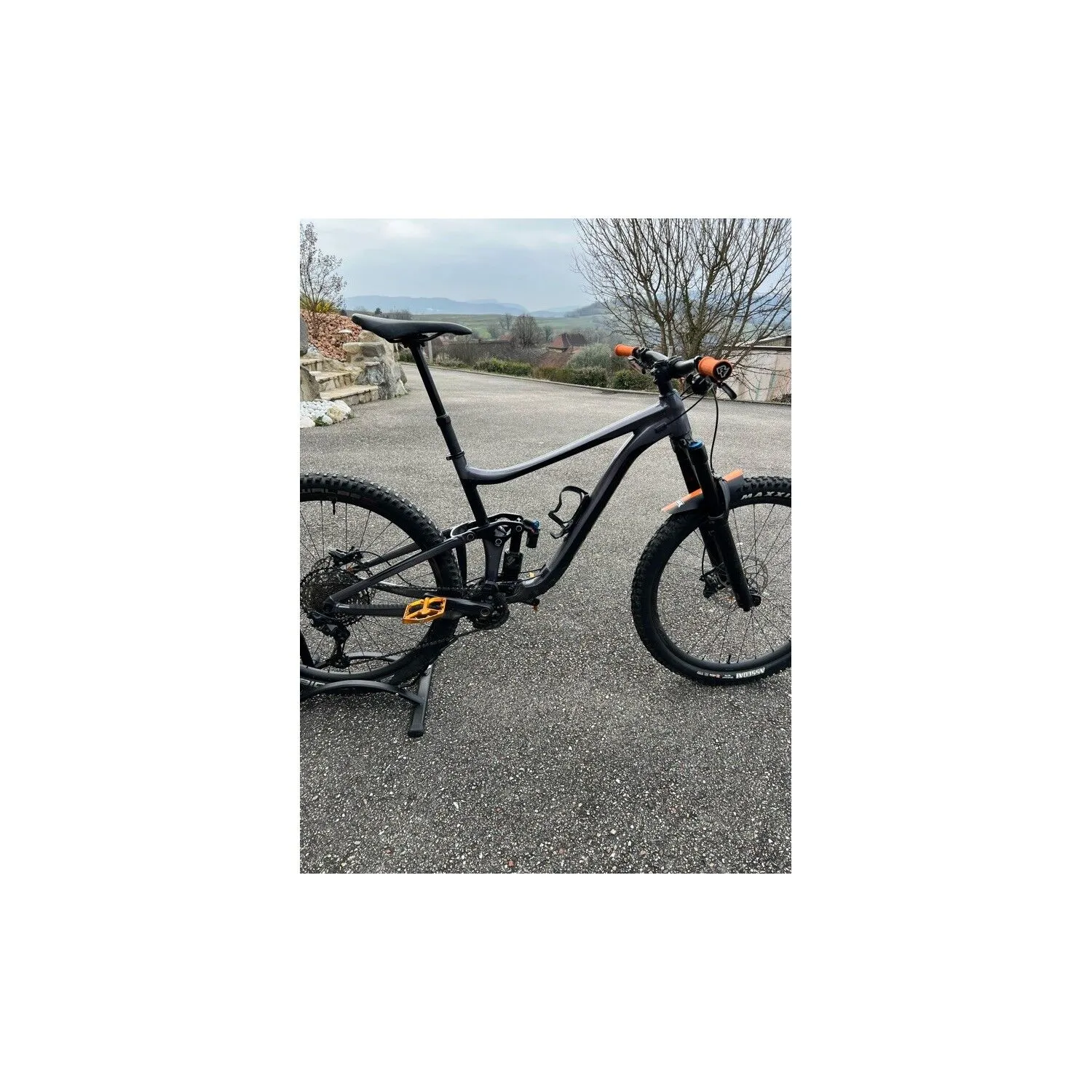 VTT Tout Suspendus Giant - L - 29'' – Image 3