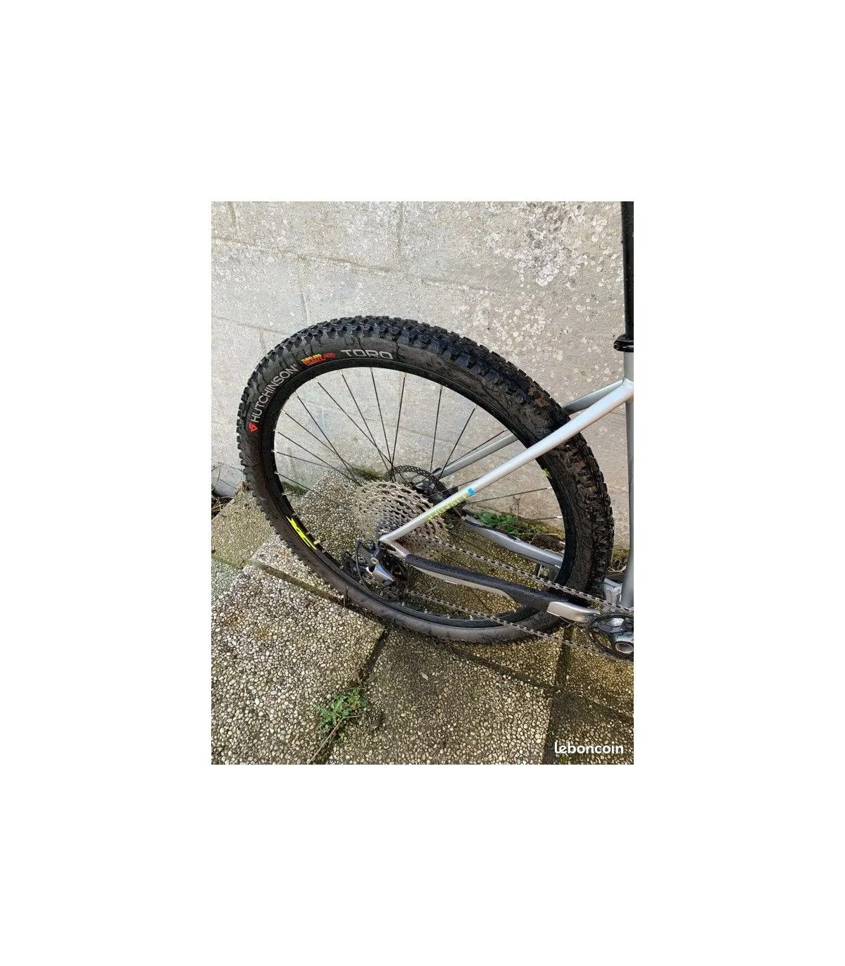 Giant VTT Semi-rigides - L - 29'' – Image 3