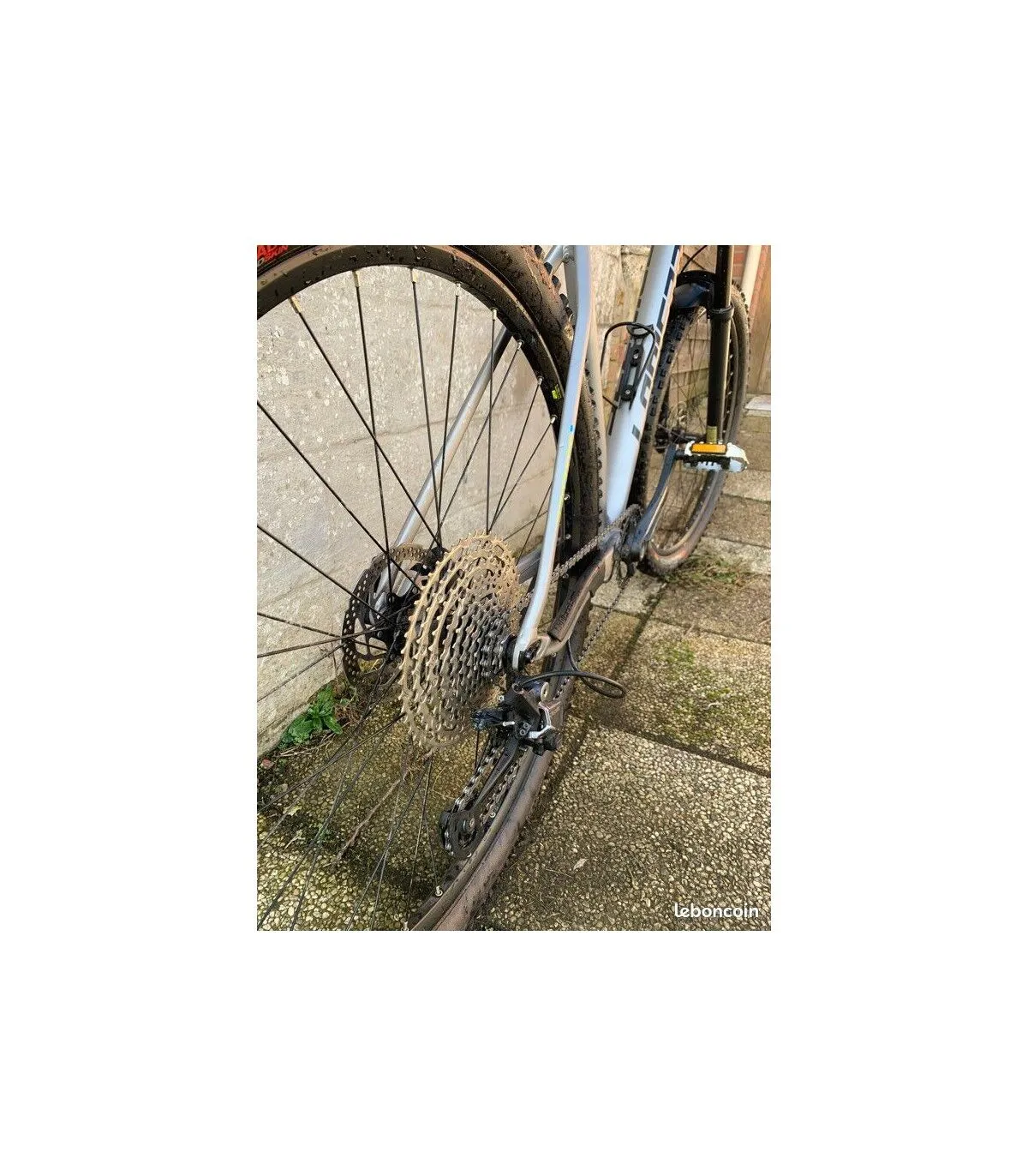 Giant VTT Semi-rigides - L - 29'' – Image 6