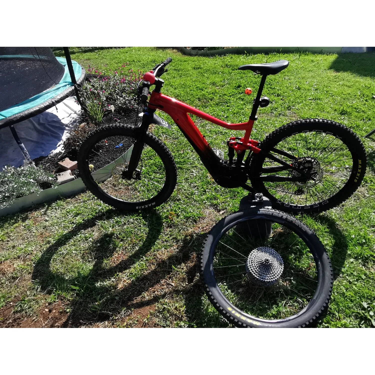 VTT électriques Giant - L - 29''